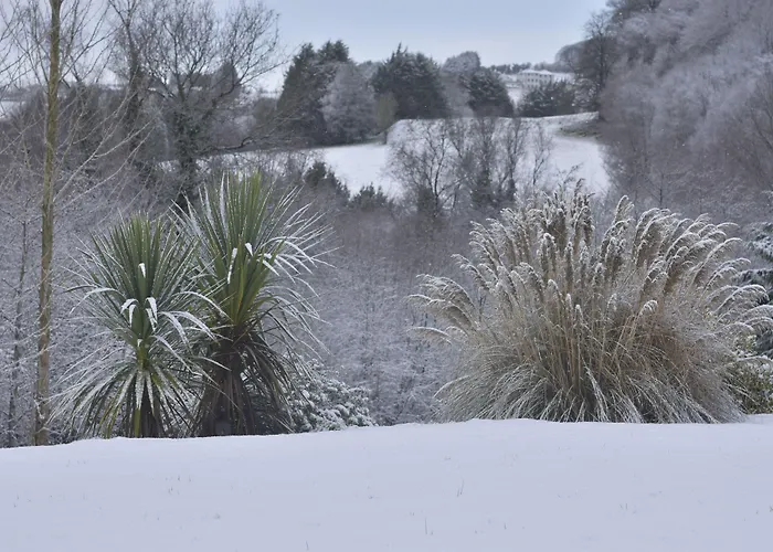 White Hill Alojamento de Acomodação e Pequeno-almoço Castleblayney